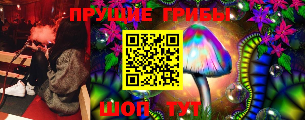 Галлюциногенные грибы Cubensis Сегежа